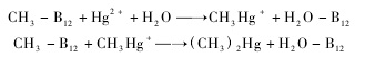 DMeHg产生的反应方程式